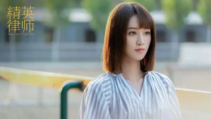 蓝盈莹精英律师4k图片