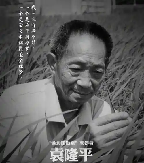 许敏的爷爷许传桢是何许人也?做过什么贡献?和袁公有过交集吗?