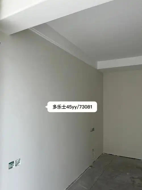 多乐士冷门色号安全下车原图无滤镜