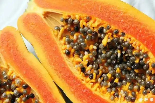 一,木瓜籽能吃吗