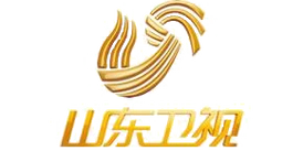 山东卫视高清