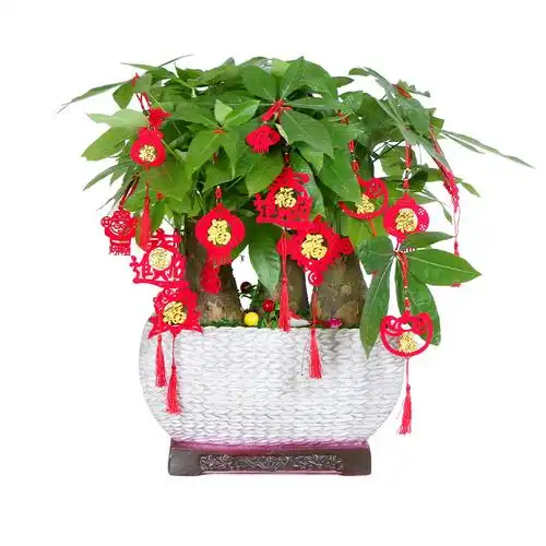 植绒小红灯笼盆景挂饰新过年装饰室内场景布置春节迷你盆栽小挂件