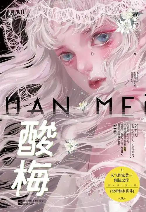 特别印签飞机盒版酸梅小说黄三