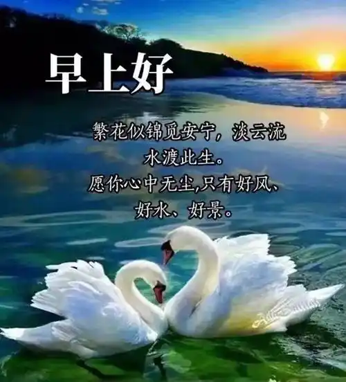 的早上好祝福图片带字 2022唯美早安问候祝福图片精选_亲爱的朋友