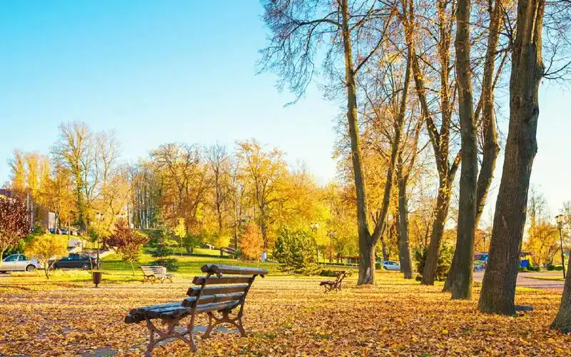 白俄罗斯秋季美景图片桌面壁纸-风景壁纸-手机壁纸下载-美桌网