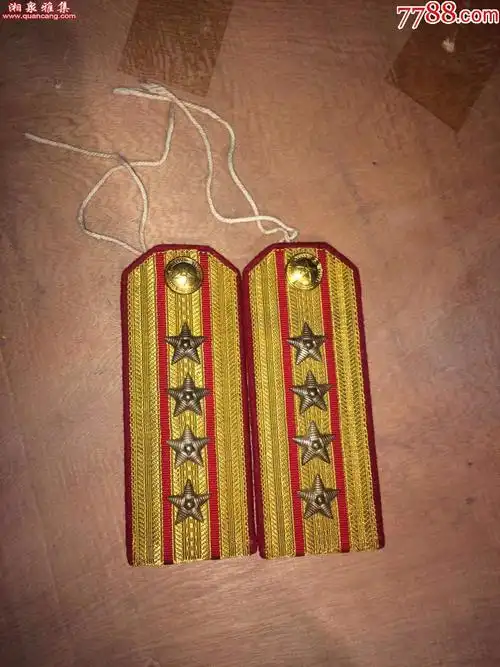 全新55式授衔陆*大校肩章
