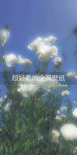 壁纸  #全屏壁纸  #爱官方爱热门 封面以前发过,不过是