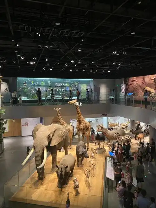 安吉自然博物馆