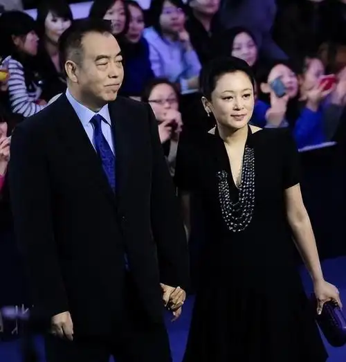 深扒陈凯歌夫妇资产四合院里长大17亿建城持25家公司真有钱