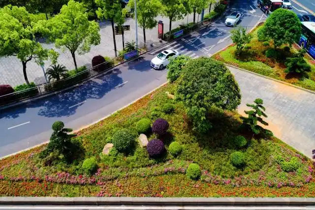《指南》建议路口绿化带增加色叶,开花树种及花卉地被,植物配置宜增强
