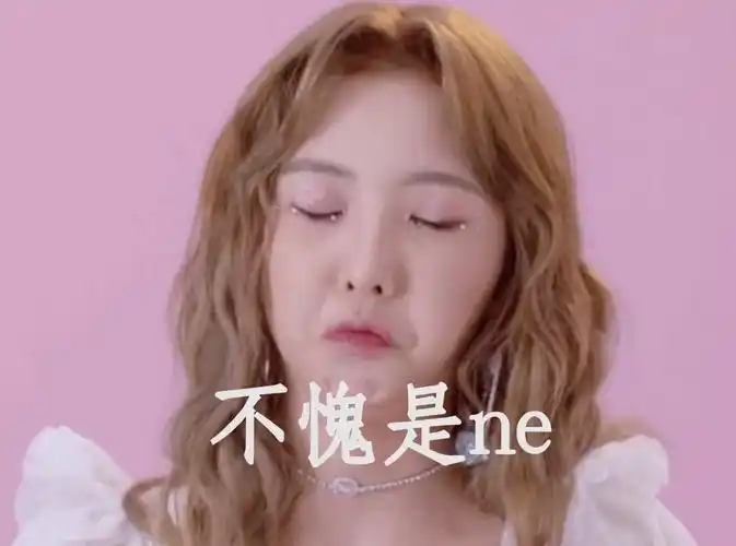 我要盖本组最全的nene郑乃馨表情包大楼进来笑