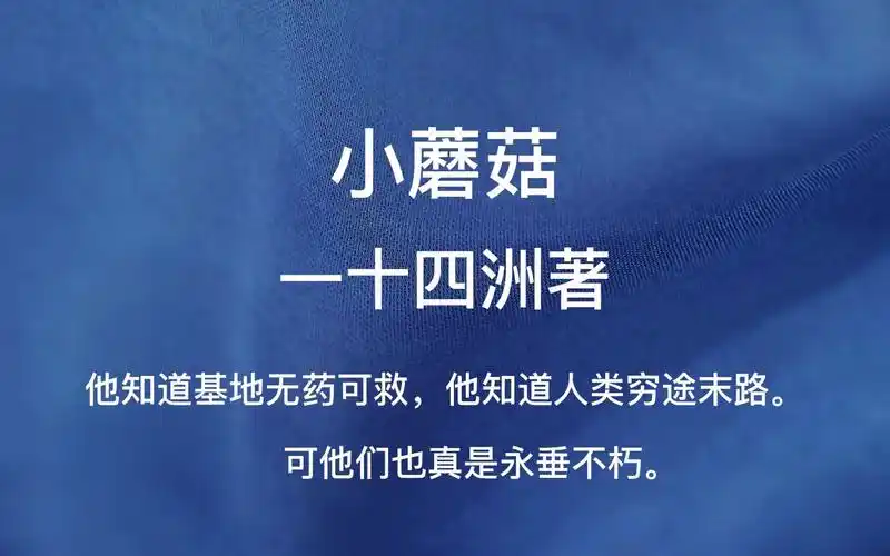 《小蘑菇》——一十四洲著,摘录