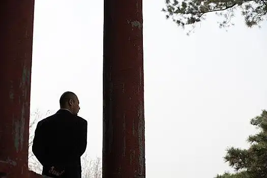 男人西装背影图片