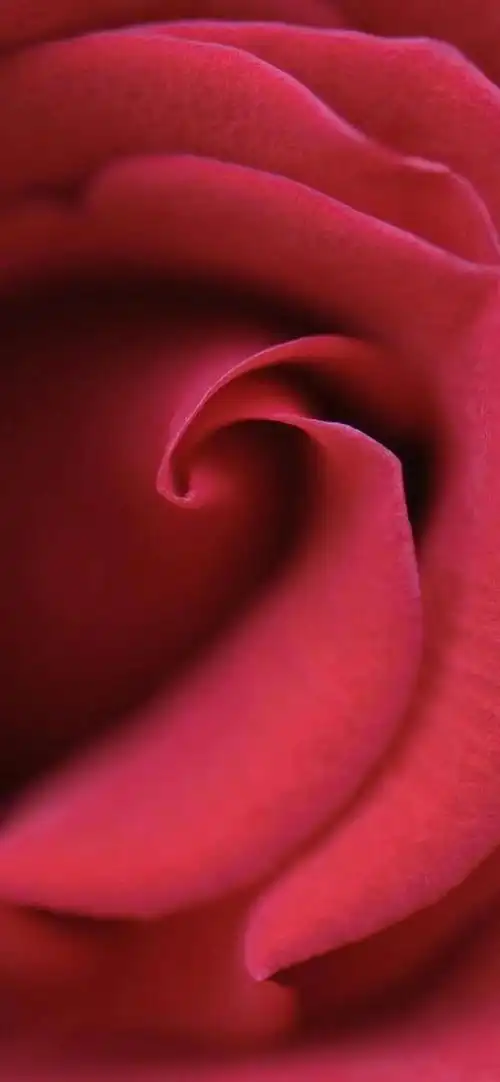 红色高清壁纸红色代表热情活泼热闹温暖幸福吉祥