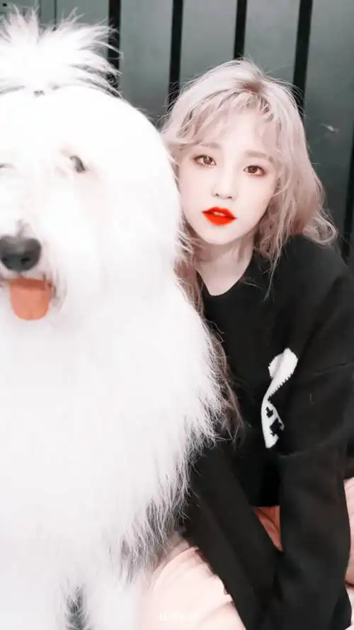 宋雨琦 - 堆糖,美图壁纸兴趣社区