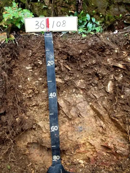 江西笔架山系土壤剖面