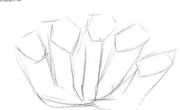 素描瓶子草怎么画