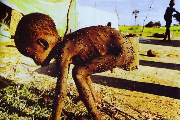 (《饥饿的苏丹》国际在线网) (《普利策奖得主摄影家无法承担社会