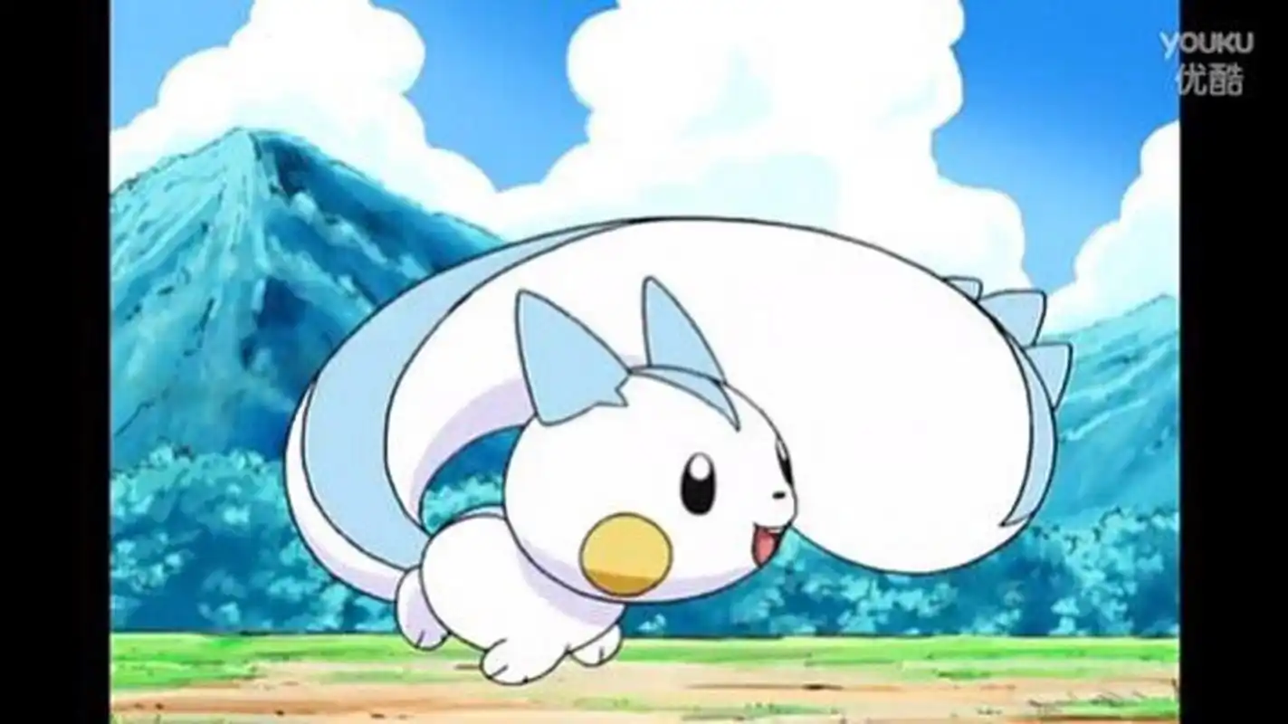 负电拍拍的进化型---帕奇利兹.