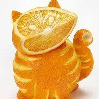 水果微信头像图片大全_微信头像图片大全