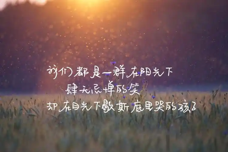 唯美生活配文图片