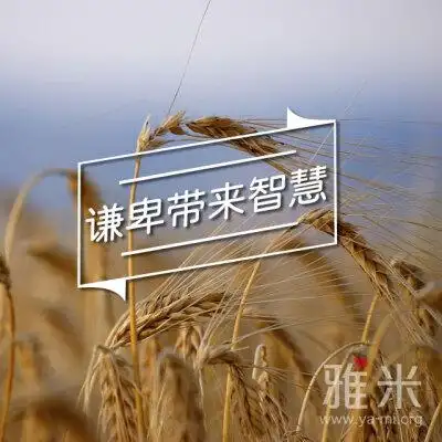 我总是轻易将眼目从袮身上挪开,转向自己,求袮赐我一颗谦卑的心.