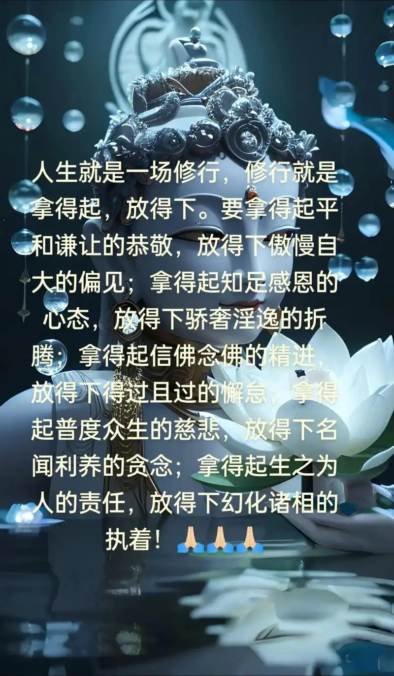 人生就是一场修行,修行就是拿得起,放得下.要拿得起平和谦让的 - 抖音