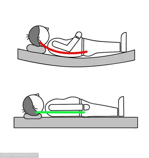 平躺睡觉时正确和不正确的姿势.向量