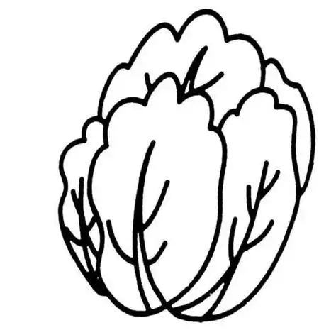 白菜怎么画简笔画萝卜白菜怎么画简笔画