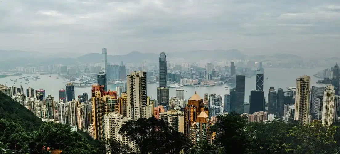 逝去的2018,新来的2019. 我和我的祖国