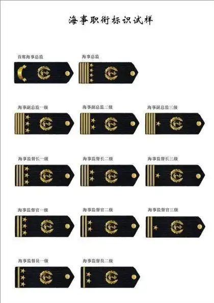 中国海事局局长的~从事专业技术工作的人员实行专业职务等级标识制