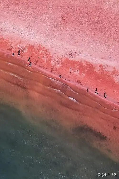 国内少见的粉红色沙滩,就在抚仙湖,请在天气和光线好的时候来