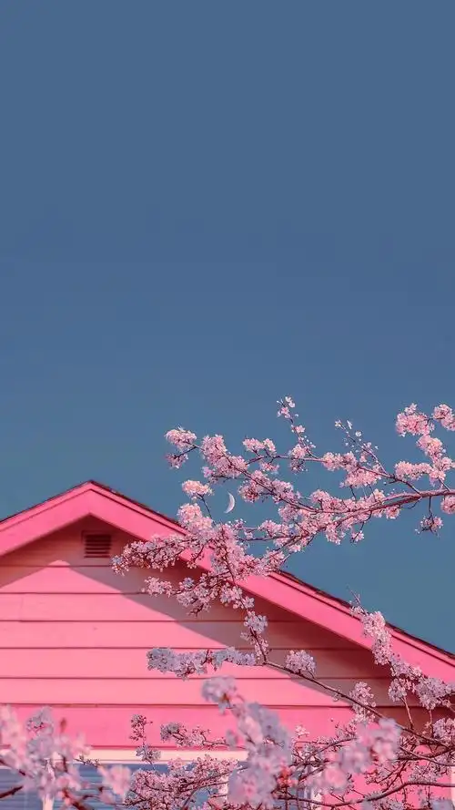 1080_1920竖版 竖屏