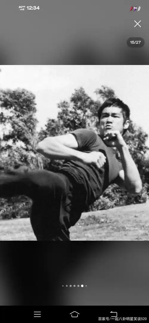 功夫巨星李小龙