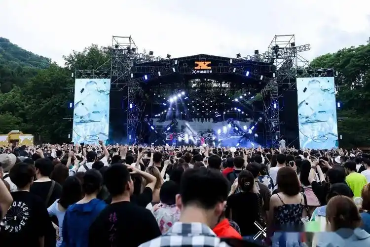 疯狂小狗xliiiiit在西湖音乐节为它而唱