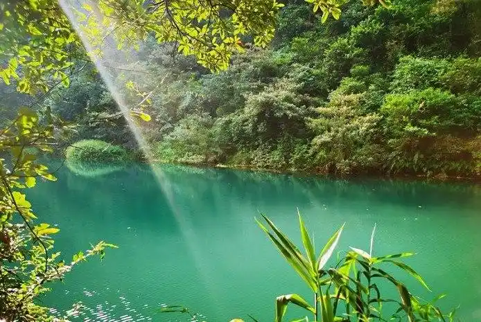 夏天的样子,体会大自然带来的清凉!