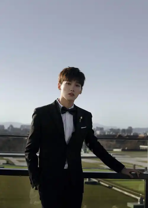 邢昭林出席唐顿晚宴 笔挺西装尽显绅士风格__凤凰网