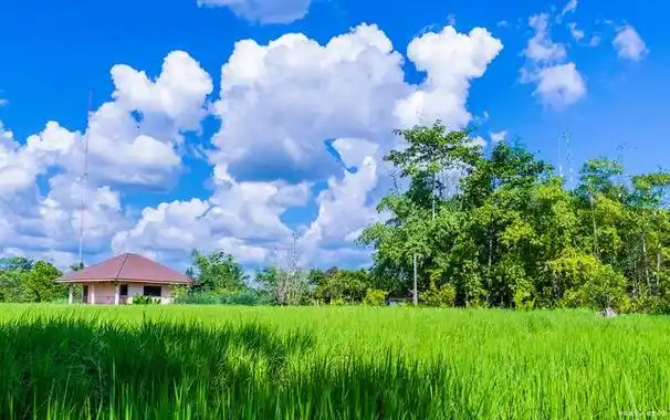 清晨的第一缕阳光透过窗帘,温暖地洒在了我的脸上.