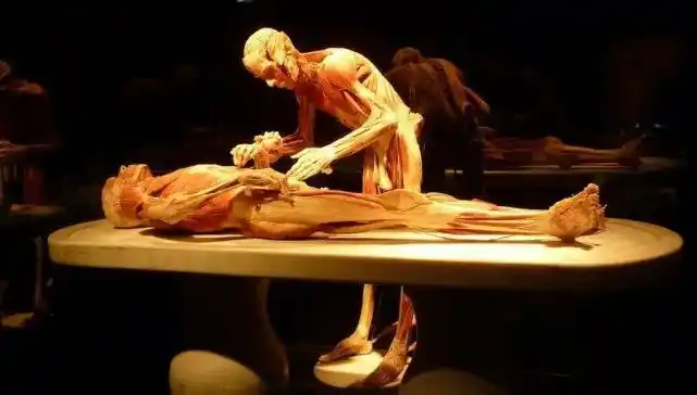 大庭广众秀尸解这都行胆小勿进