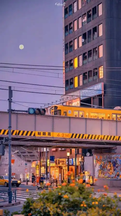 ins高质感冷淡风壁纸