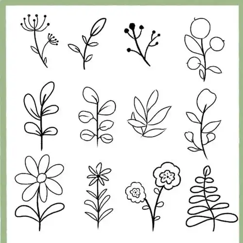 自学简笔画30|简笔|植物简笔系列266