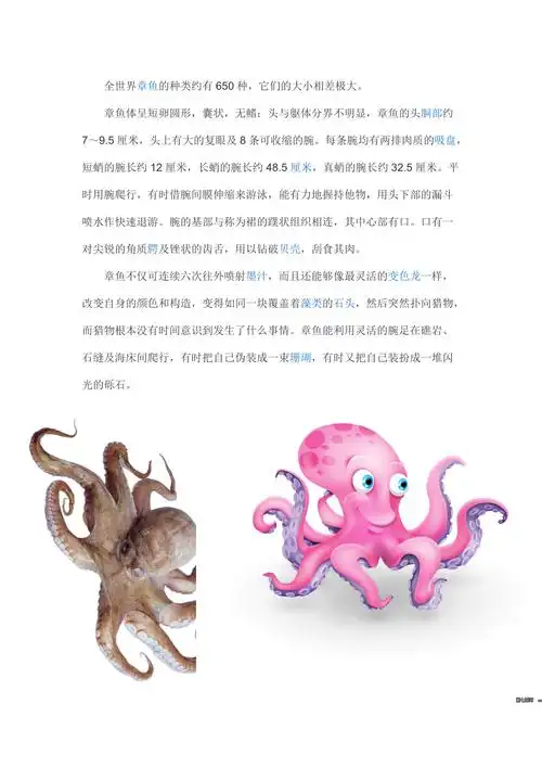 全世界章鱼的种类约有种_第1页