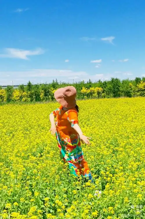 美丽的油菜花儿啊,阳光下,你充满朝气的黄色给人以强烈的希望与期待感