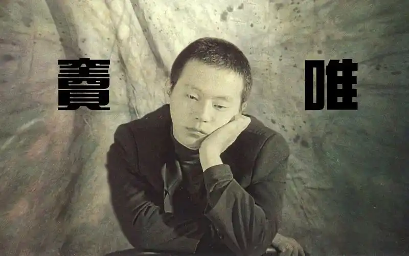 窦唯 最清晰画质官方mv【合辑】 & 94红磡现场原盘画质【字幕】