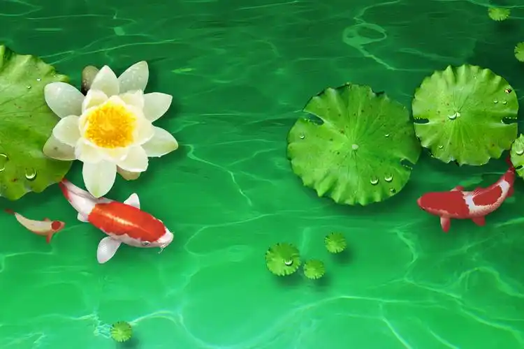 多巴盐对鲤鱼诱食作用的研究实验