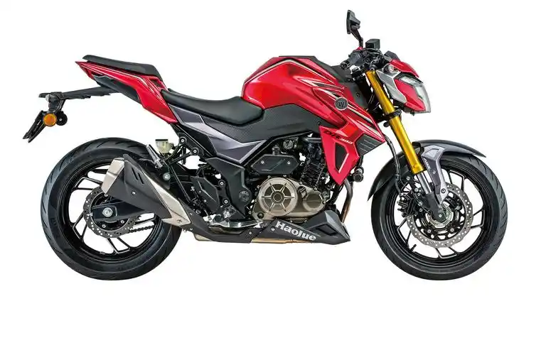 dr300动力-300cc摩托车跑车-豪爵铃木跨骑车-豪爵铃木摩托车官网