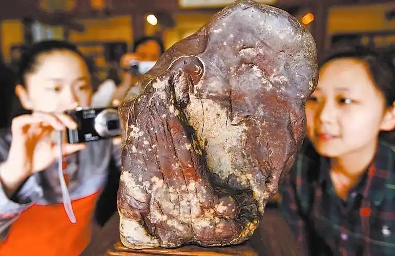 捡块奇石价值上亿,奇石收藏多疯狂?