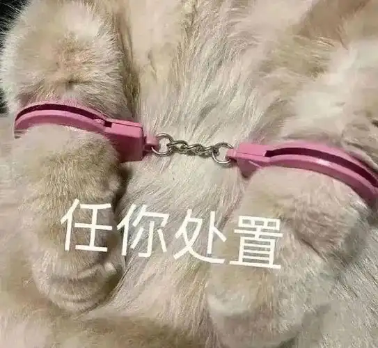 太羞耻了,撩拨暧昧的表情包!