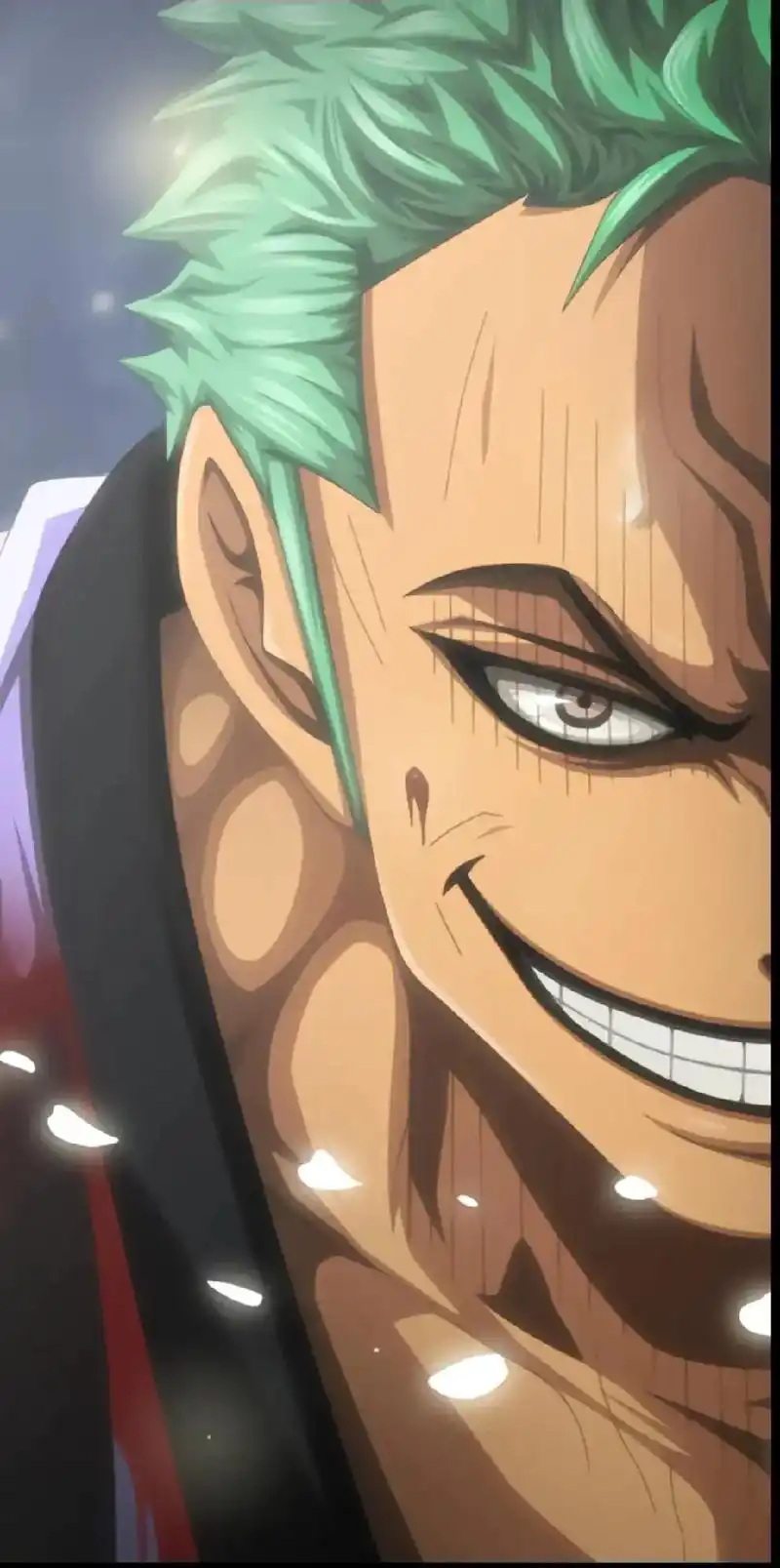 三刀流#海贼王#罗罗诺亚·索隆#动漫 - 抖音