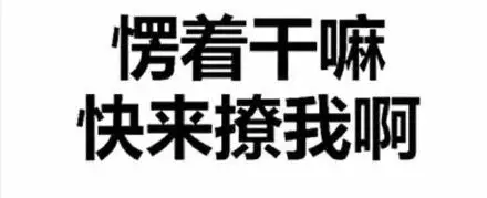 愣着干嘛,快来撩我啊 - 微信纯文字表情包_装逼_文字表情表情